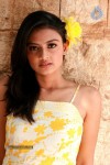 Nikitha Narayan Photoshoot Stills - 21 of 34