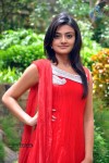 Nikitha Narayan Stills - 13 of 40