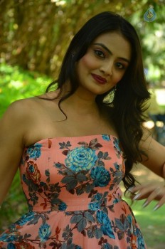 Nikitha Narayana New Images - 19 of 29