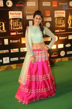 Nikki Galrani at IIFA Utsavam 2016 - 6 of 29