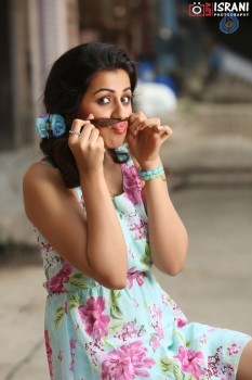 Nikki Galrani New Photos - 13 of 13