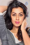 Nikki Galrani New Stills - 15 of 15