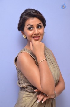 Nikki Galrani Photos - 5 of 40