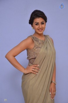 Nikki Galrani Photos - 19 of 40