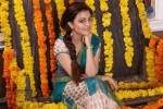 Nisha Agarwal Hot Stills - 55 of 61
