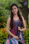 Nisha Agarwal New Gallery - 3 of 60