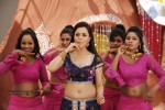 Nisha Agarwal New Hot Stills - 12 of 51