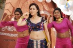 Nisha Agarwal New Hot Stills - 15 of 51