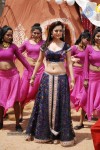 Nisha Agarwal New Hot Stills - 47 of 51