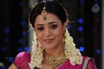 Nisha Agarwal New Photos - 79 of 151