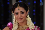 Nisha Agarwal New Photos - 85 of 151