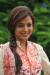 Nisha Agarwal New Photos - 14 of 28