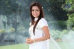 Nisha Agarwal New Pics - 43 of 58