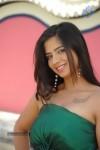 Nisha Hot Stills - 27 of 25