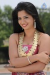 Nisha Hot Stills - 7 of 25