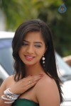 Nisha Hot Stills - 31 of 25