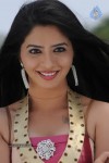 Nisha Hot Stills - 38 of 25