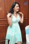 Nisha Kothari at Choosinodiki Choosinantha Audio - 56 of 88