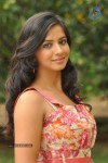 Nisha Latest Photos - 47 of 66