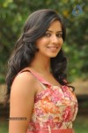Nisha Latest Photos - 51 of 66