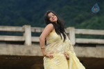 Nisha Sha Hot Gallery - 6 of 52