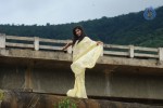 Nisha Sha Hot Gallery - 11 of 52