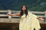 Nisha Sha Hot Gallery - 45 of 52