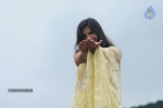 Nisha Sha Hot Gallery - 48 of 52