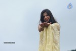 Nisha Sha Hot Gallery - 50 of 52