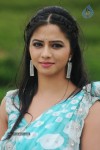 Nisha Shah Hot Gallery - 44 of 54