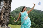 Nisha Shah Hot Gallery - 11 of 54