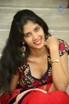 Ohm Stills - 88 of 100