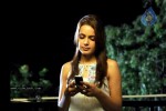 Orange Movie Actress Shazahn Padamsee Stills - 13 of 14