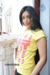 Padma Priya Photo Stlls - 16 of 38