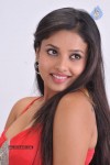 Pameela Latest Stills - 66 of 73