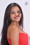 Pameela Latest Stills - 79 of 73