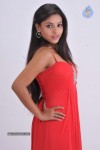 Pameela Latest Stills - 80 of 73