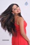 Pameela Latest Stills - 83 of 73