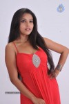 Pameela Latest Stills - 49 of 73