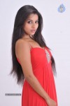 Pameela Latest Stills - 50 of 73