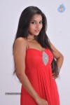 Pameela Latest Stills - 53 of 73
