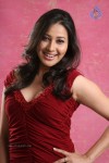 Panchi Bora Hot Stills - 1 of 38