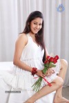 Panchi Bora Hot Stills - 5 of 38