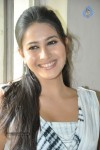 Panchi Bora Latest Stills - 4 of 35
