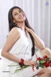 Panchi Bora New Stills - 48 of 72