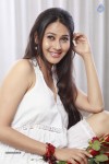 Panchi Bora New Stills - 54 of 72