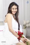 Panchi Bora New Stills - 44 of 72