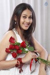 Panchi Bora New Stills - 49 of 72