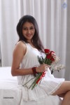 Panchi Bora New Stills - 55 of 72