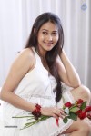 Panchi Bora New Stills - 61 of 72